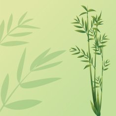 Bamboo Background N14