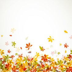 Vector autumn leaves N19