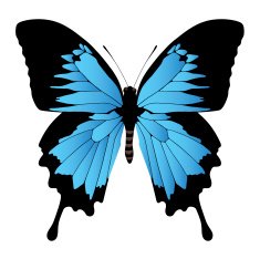 butterfly N132