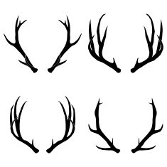 vector deer antlers collection
