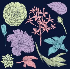 Set of vector tropical flowers N2