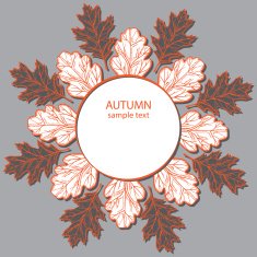 autumn leaf background N41