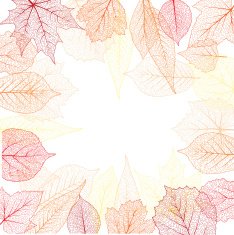 Autumn Frame N48