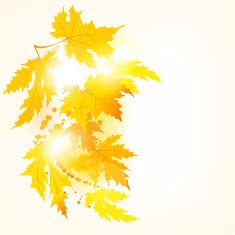 Abstract autumn background Autumn Maple Tree - Illustration
