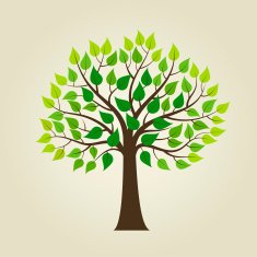 Tree isolated on a white background