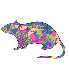 Rat colorful