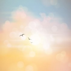 Defocused Summer Sky Background