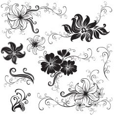 Set of black floral design elements