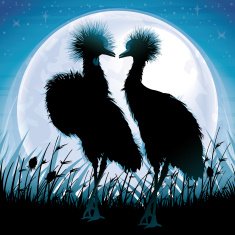 Two Crowned Cranes silhouettes safari in grass against blue moon