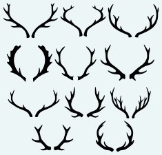 Deer Horns N7