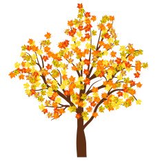 Autumn Maple Tree N6