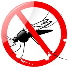 No Mosquito Sign N2