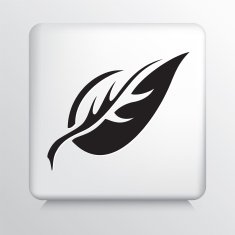 Square Icon With Leaf