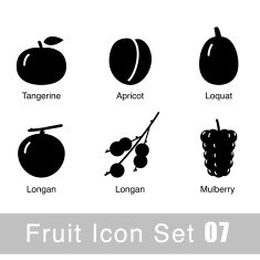 Fruit flat icon design N12