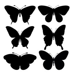 set of black silhouettes butterflies