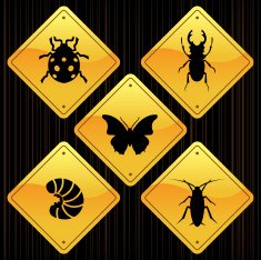 Yellow Signs - Insects N3
