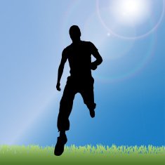 Vector silhouette of a man N880