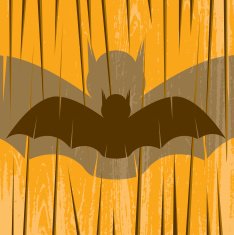 Bat N14