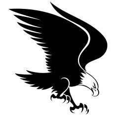 Eagle N26