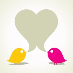 bird communication N2
