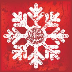 snowflakes set N15