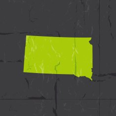 Detailed map of South Dakota state grunge style