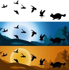 Cat hunter of birds