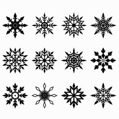 Snowflake Vector N4