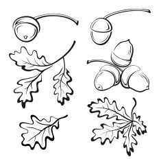Oak Leaves and Acorns Pictograms N2