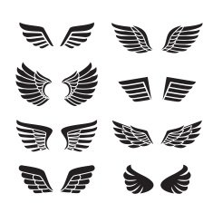 Wings black icons vector set (silhouettes) Minimalistic design