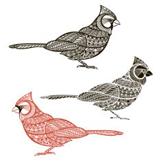Cardinal Set of birds isolated on white background N2