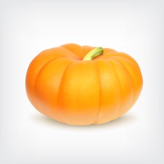 Pumpkin N37