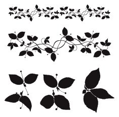 foliage - vector