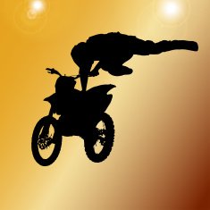 Vector silhouette of a man N882