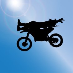 Vector silhouette of a man N883