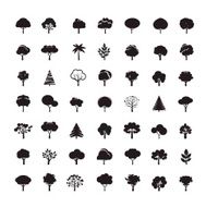 Collection of Black Trees