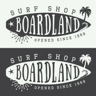 Set of surfing logos labels badges and elements