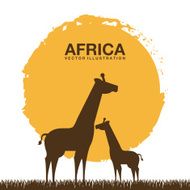 Africa Design N3