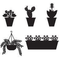 Pot plants N2