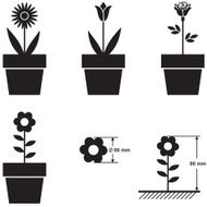 Flowers in pots and flower size scheme