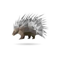 Porcupine abstract isolated on a white backgrounds