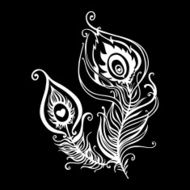 Beautiful peacock feathers N5
