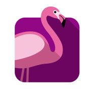 flamingo bird flat icon N2