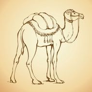 Decorated camel Vector illustration N2