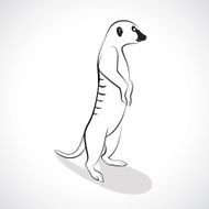 Meerkat N5