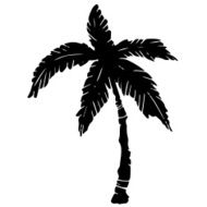 Palm Tree N52