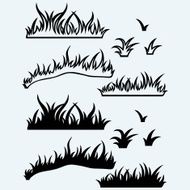 Silhouette grass N2