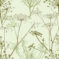 pattern of the umbrella grass