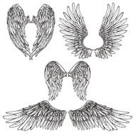 Wings Sketch Set N2