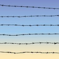 Barbed Wire N16